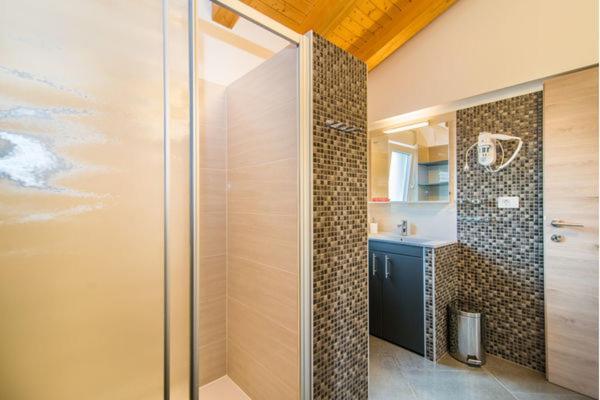 Villa Silver Novigrad With Private Pool *