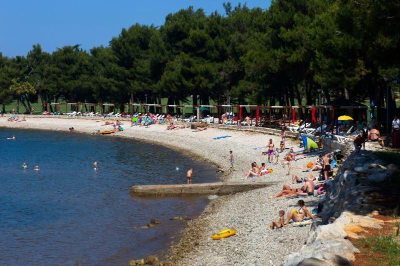 Silver Novigrad With Private Pool Villa *